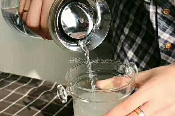 清炖燕窝的做法图解4