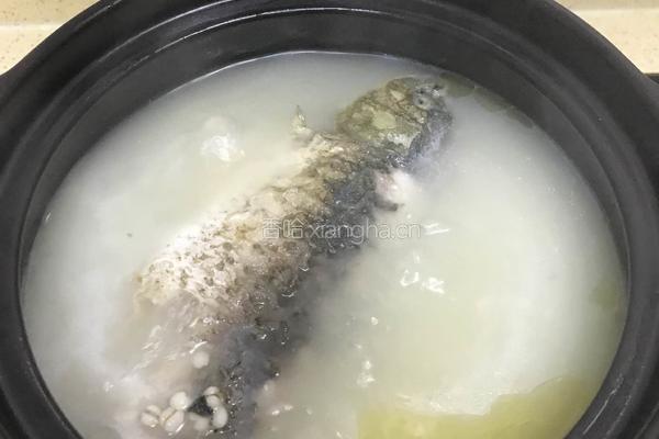鲫鱼薏米白萝卜葱汤 的做法图解16