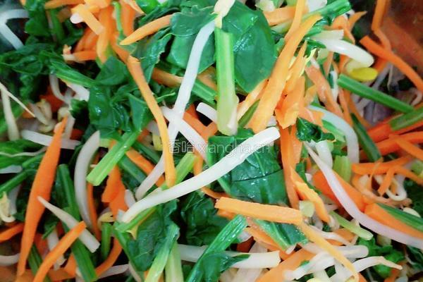 豆芽菠菜拌粉丝的做法图解2