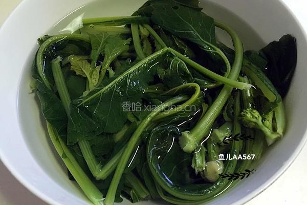 凉拌萝卜缨的做法图解3