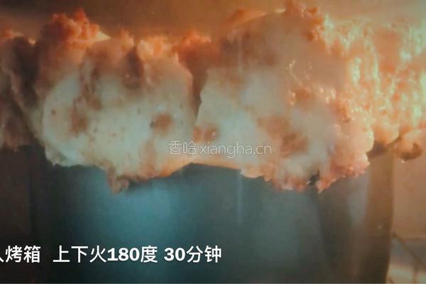 海苔肉松手撕包的做法图解17