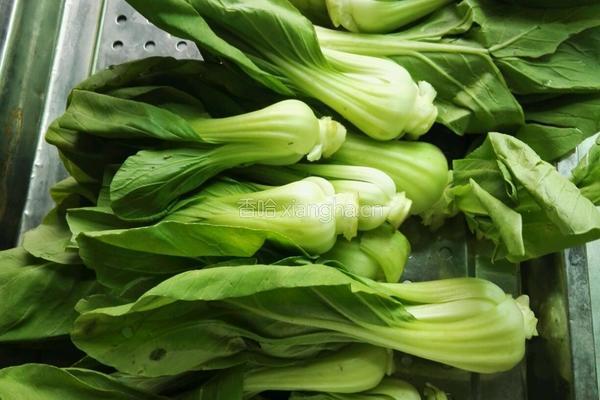 香菇油菜芯的做法图解1