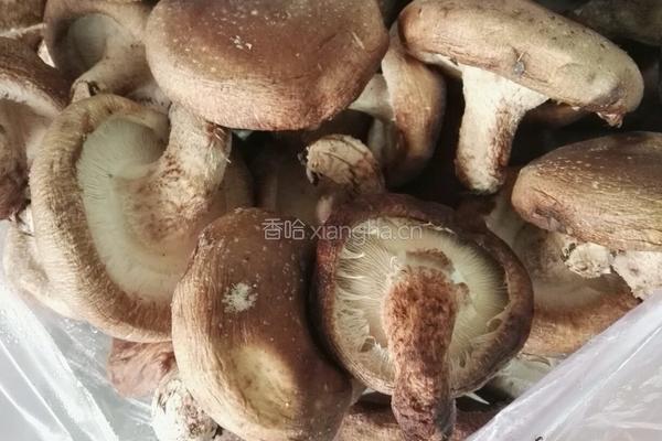 香菇油菜芯的做法图解2
