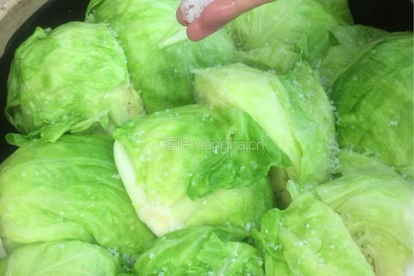 圆白菜酸菜的做法图解9