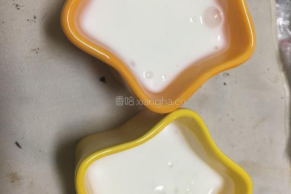 酸奶盆栽的做法图解4