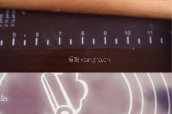 苏式百果月饼的做法图解20