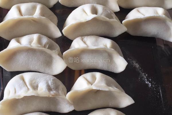 萝卜丝饺子的做法图解9