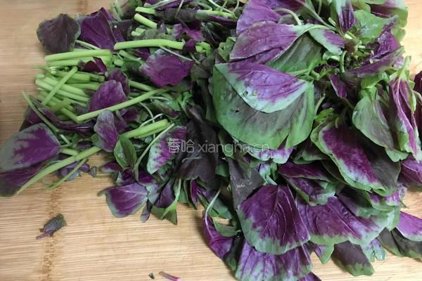 蒜蓉苋菜的做法图解4