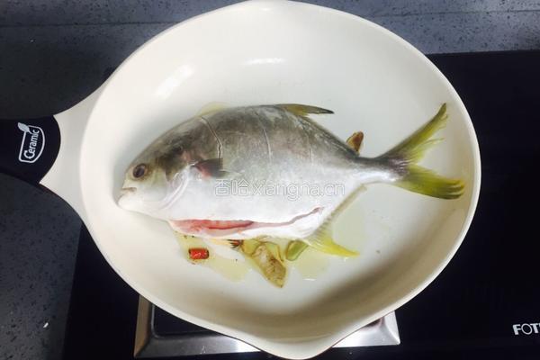 茄汁金鲳鱼的做法图解7
