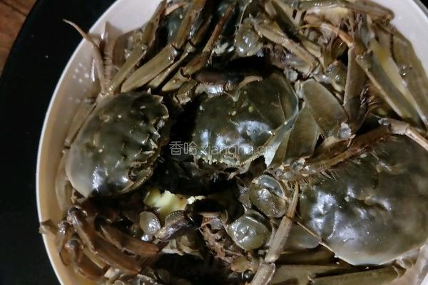 爆炒螃蟹的做法图解2