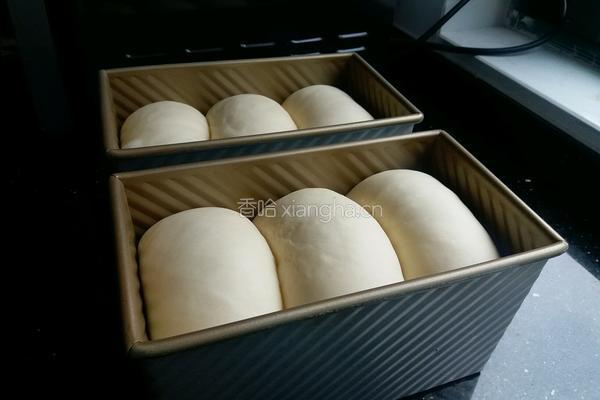 牛奶蛋黄吐司的做法图解11