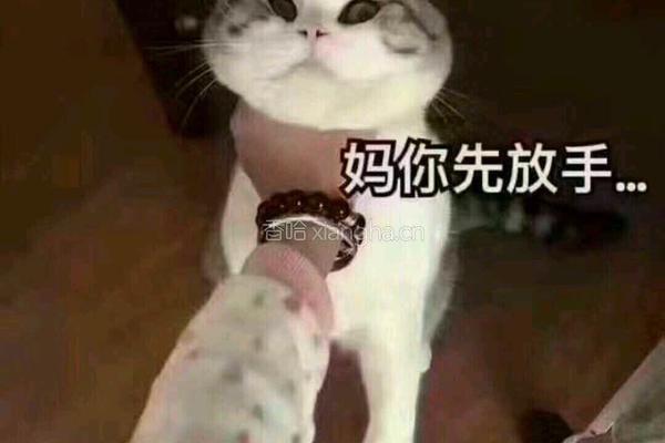 萝卜爽腩面的做法图解7