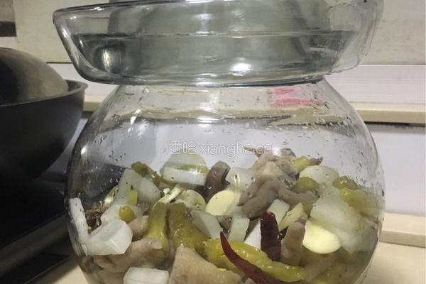 白萝卜泡鸡爪的做法图解5