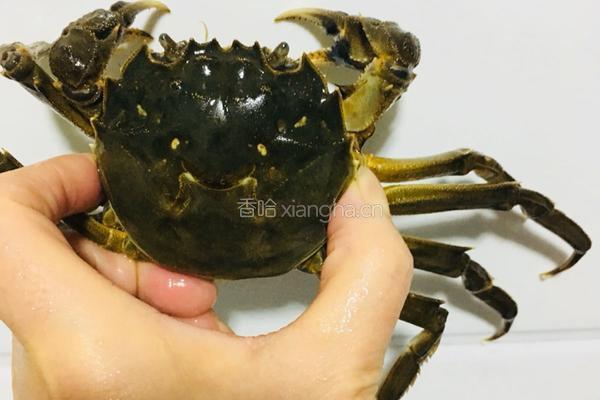 清蒸大闸蟹的做法图解2