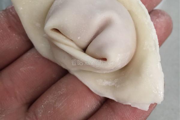 家常元宝混沌的做法图解8