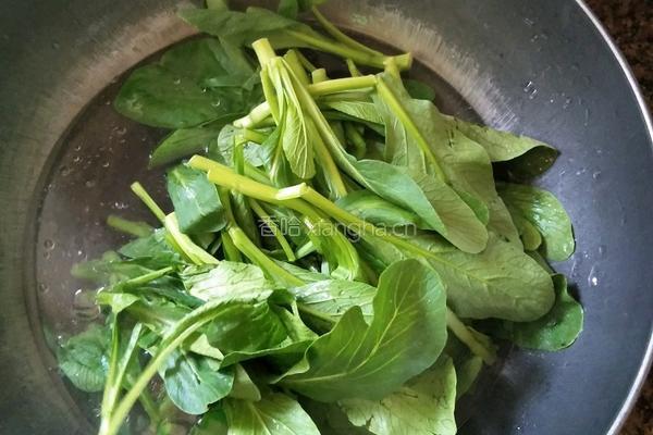 蒜泥青菜的做法图解5