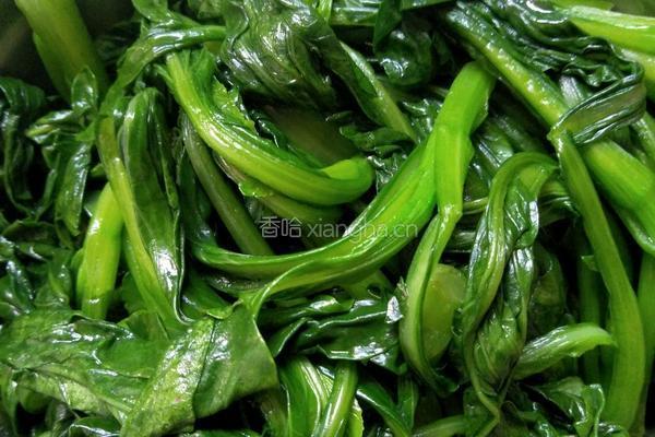 蒜泥青菜的做法图解11