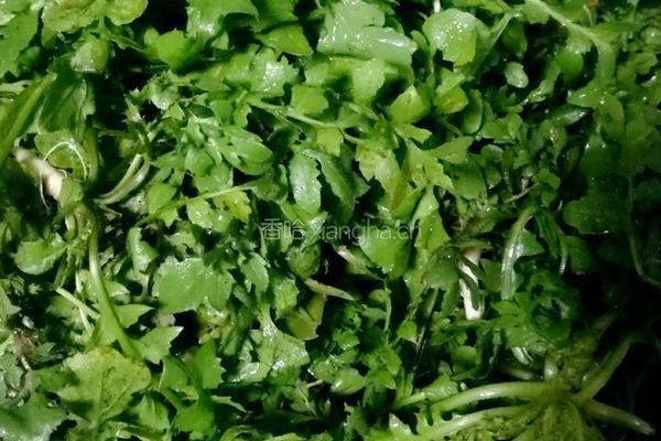 荠荠菜水饺的做法图解1