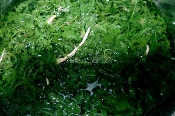 荠荠菜水饺的做法图解2