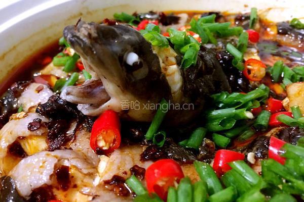 豆豉蒸白鳗鱼的做法图解9