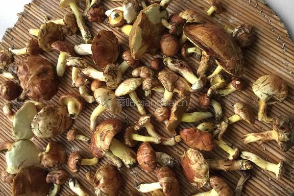 老咸菜炒鲜松蘑的做法图解2