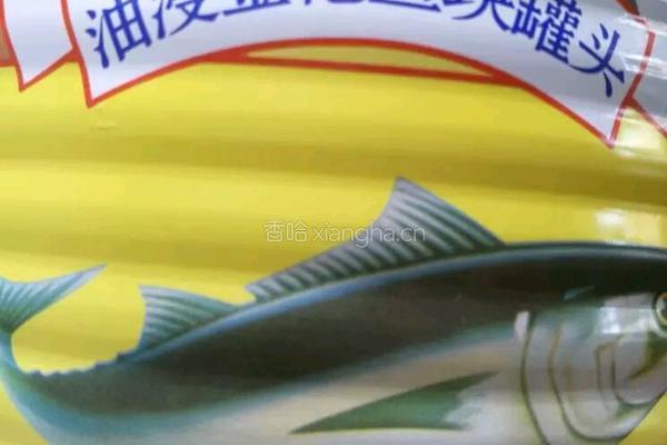 墨西哥辣椒金枪鱼饼的做法图解1