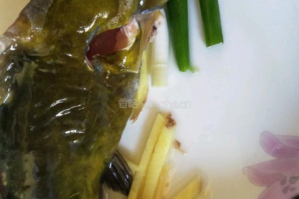 清蒸黄刺鱼的做法图解4