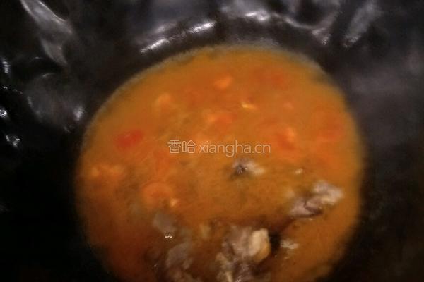 西红柿炖牛腩的做法图解4