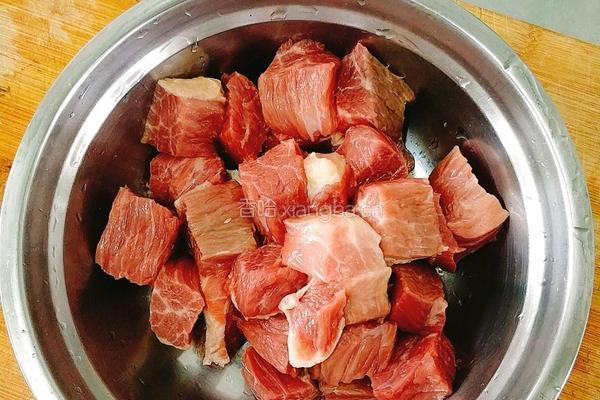 萝卜炖牛腩的做法图解1