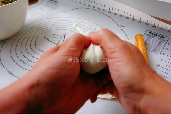 韭菜八带鱼水饺#年夜饭的做法图解17