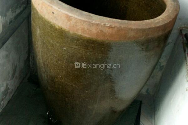 东北腌酸菜的做法的做法图解3