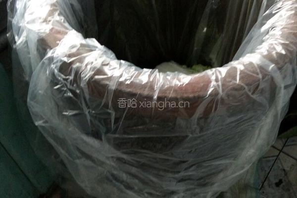 东北腌酸菜的做法的做法图解6