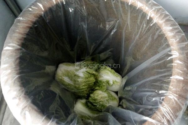 东北腌酸菜的做法的做法图解7