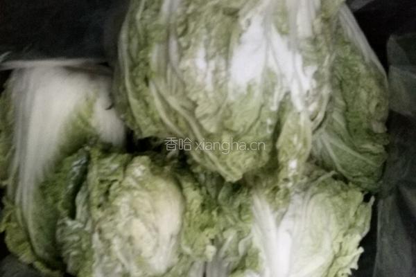 东北腌酸菜的做法的做法图解8