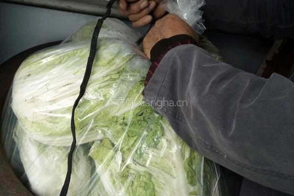 东北腌酸菜的做法的做法图解10