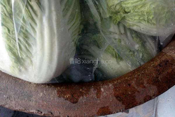 东北腌酸菜的做法的做法图解12