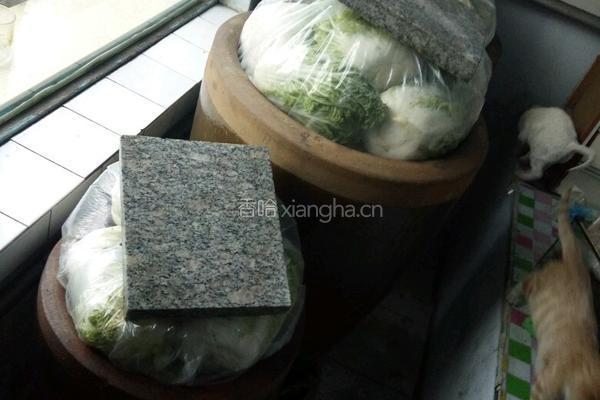 东北腌酸菜的做法的做法图解13