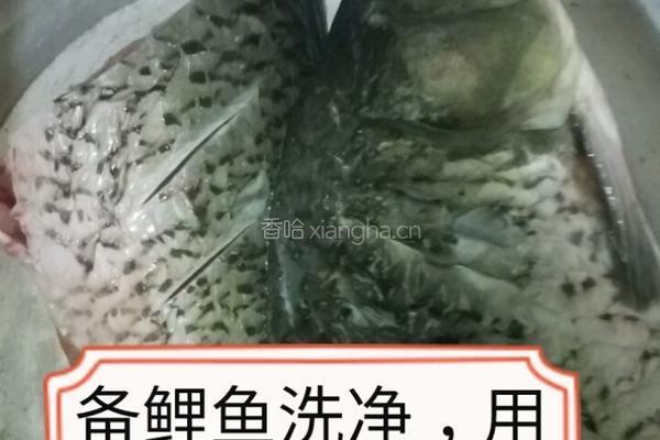 酱香鲤鱼的做法图解1
