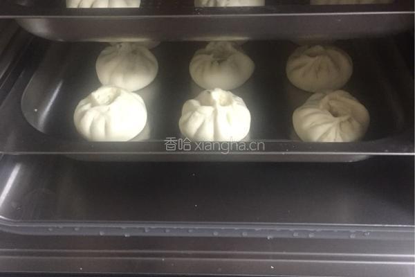 萝卜丝肉馅包子的做法图解32