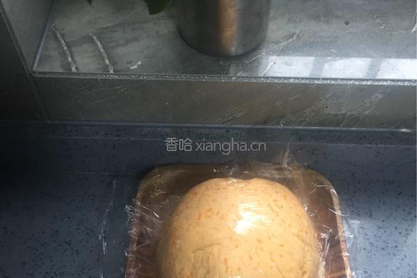 南瓜萝卜肉馅饼的做法图解13