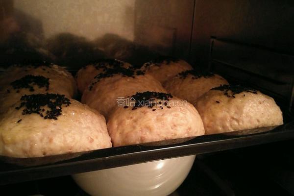 Whole Wheat Bread 全麦面包的做法图解9