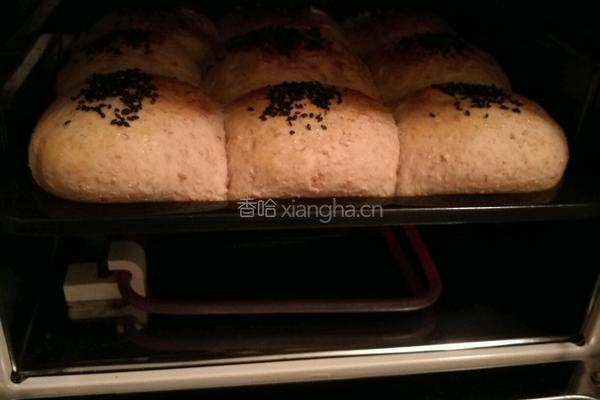 Whole Wheat Bread 全麦面包的做法图解10
