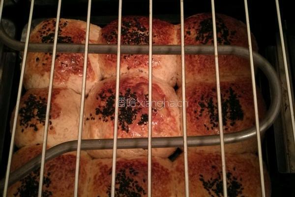 Whole Wheat Bread 全麦面包的做法图解12