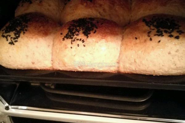 Whole Wheat Bread 全麦面包的做法图解11