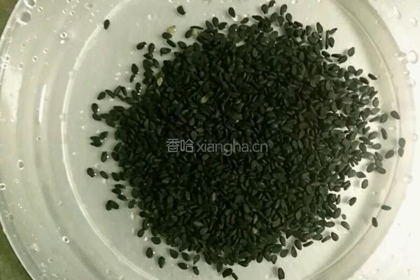 黑豆浆的做法图解2