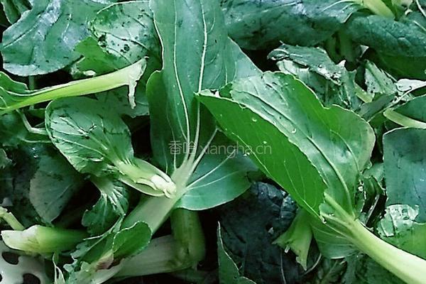 腊肉炒小白菜的做法图解1