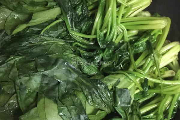 素炒菠菜的做法图解3