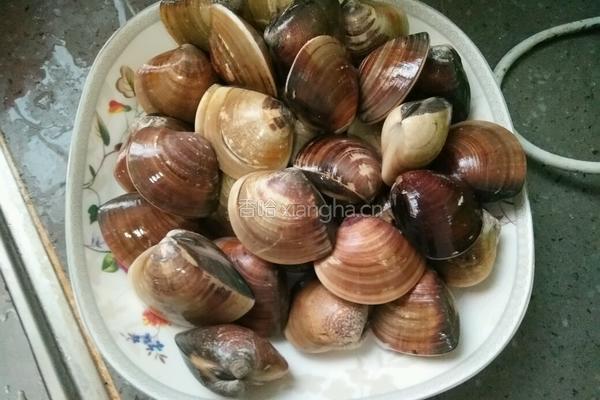 胡椒蛤蜊煲的做法图解1