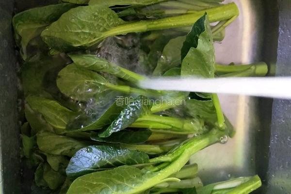 水煮青菜的做法图解2