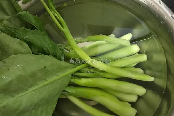 蒜茸芥兰的做法图解3